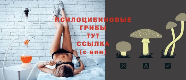 кокс Дубовка