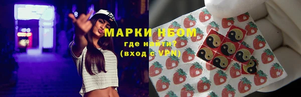 сатива Жердевка