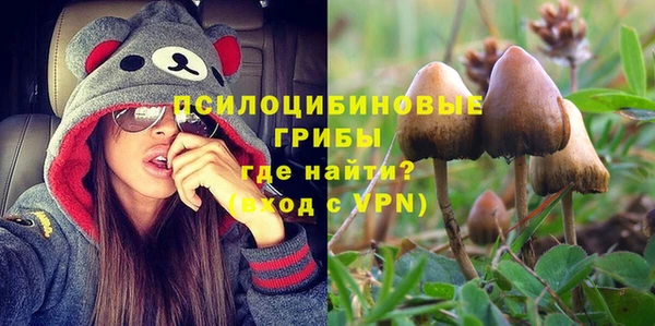 шишки Пролетарск