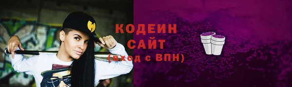 эйфоретик Вяземский